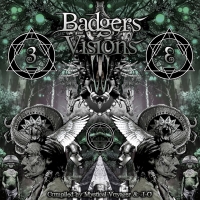 VA - Badgers Visions 3 (Jun 2019)